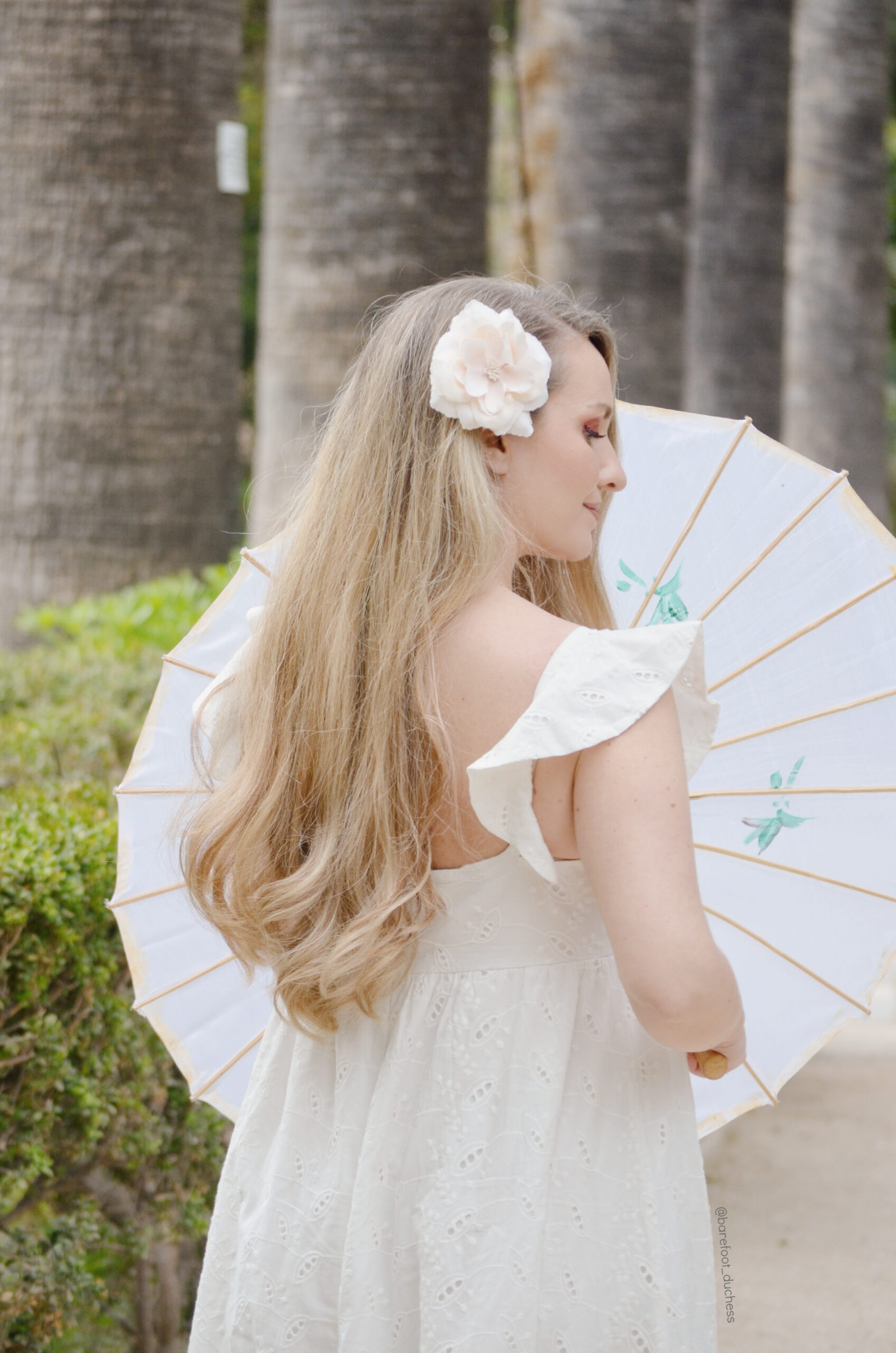 Camellia 04 Camellia 04