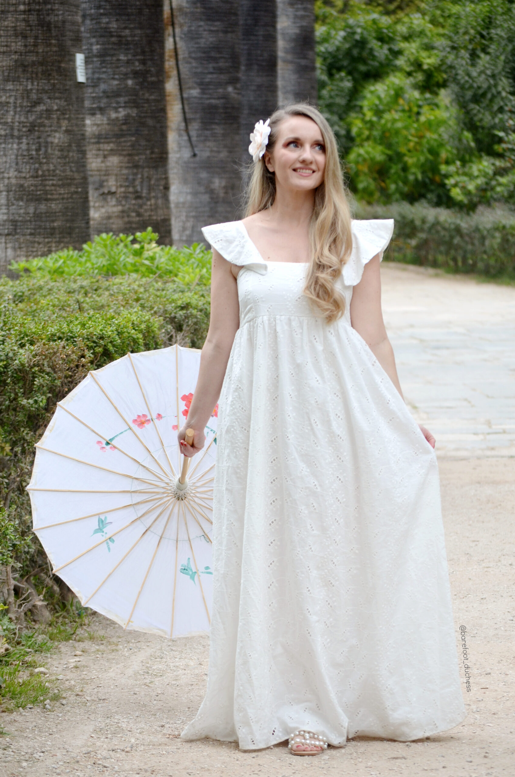 Camellia 31 Camellia 31