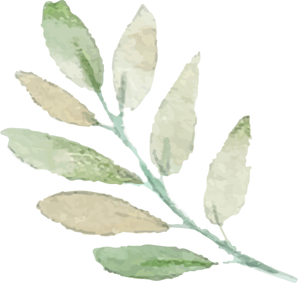Komisses