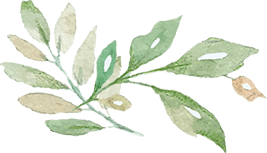 Komisses